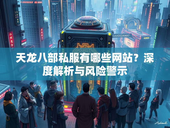 天龙八部私服有哪些网站？深度解析与风险警示