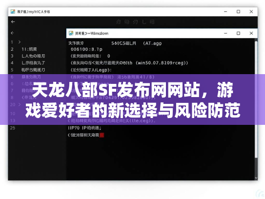 天龙八部SF发布网网站，游戏爱好者的新选择与风险防范