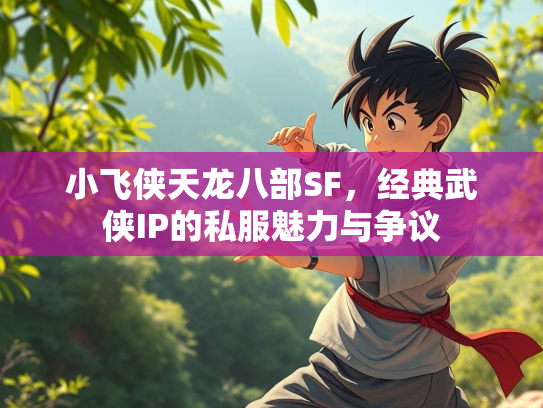 小飞侠天龙八部SF，经典武侠IP的私服魅力与争议