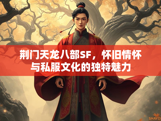 荆门天龙八部SF，怀旧情怀与私服文化的独特魅力