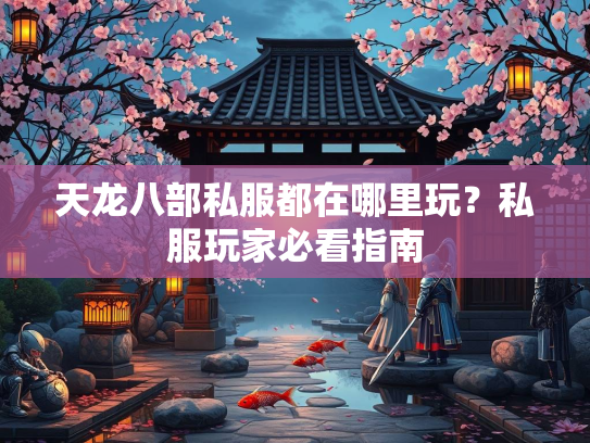 天龙八部私服都在哪里玩？私服玩家必看指南  第3张