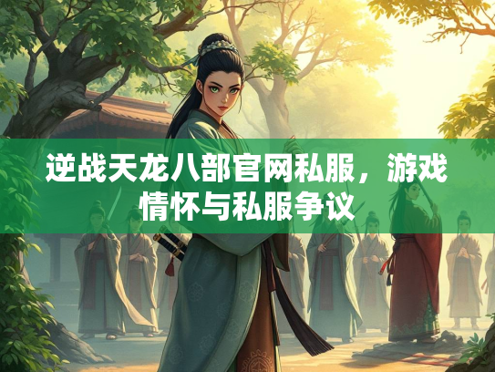 逆战天龙八部官网私服，游戏情怀与私服争议