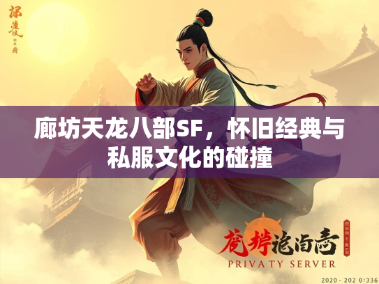 廊坊天龙八部SF，怀旧经典与私服文化的碰撞  第3张