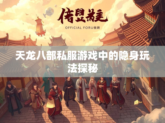 天龙八部私服游戏中的隐身玩法探秘  第2张