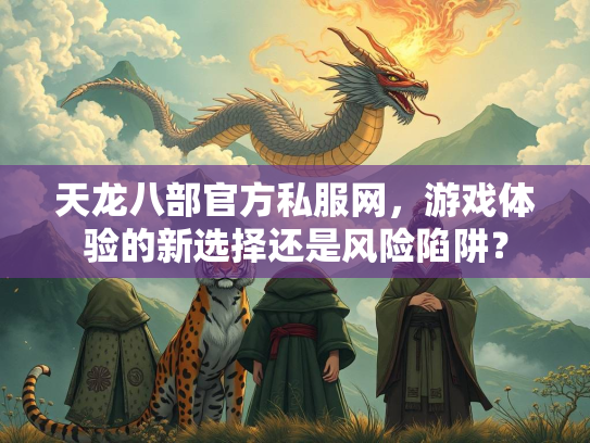 天龙八部官方私服网，游戏体验的新选择还是风险陷阱？  第2张