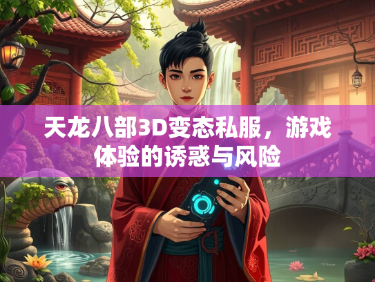 天龙八部3D变态私服，游戏体验的诱惑与风险  第3张