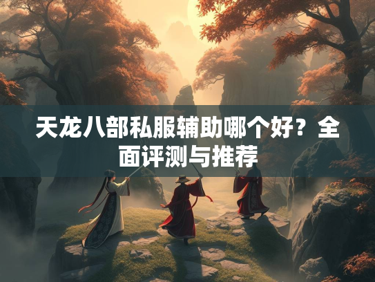 天龙八部私服辅助哪个好？全面评测与推荐