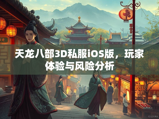 天龙八部3D私服iOS版，玩家体验与风险分析