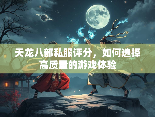 天龙八部私服评分，如何选择高质量的游戏体验  第2张