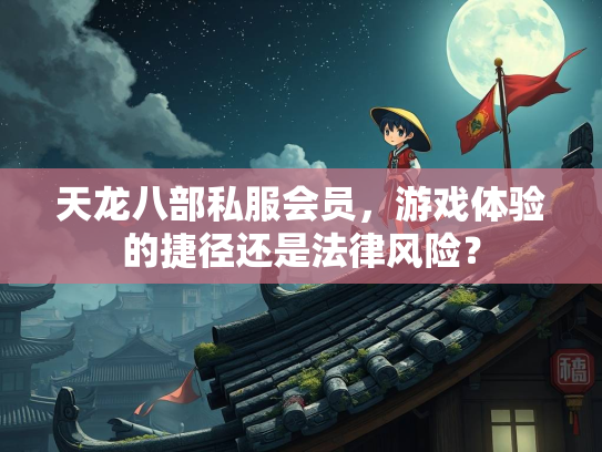 天龙八部私服会员，游戏体验的捷径还是法律风险？  第2张