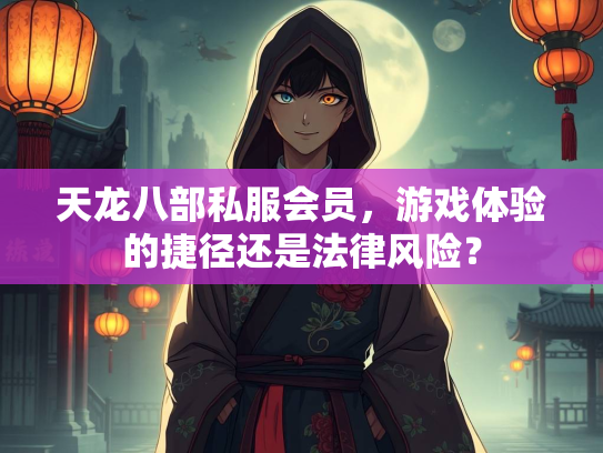 天龙八部私服会员，游戏体验的捷径还是法律风险？