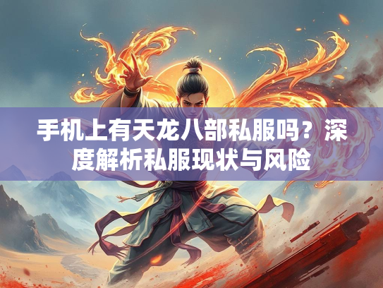 手机上有天龙八部私服吗？深度解析私服现状与风险  第2张
