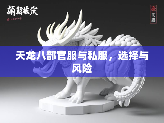天龙八部官服与私服，选择与风险  第1张