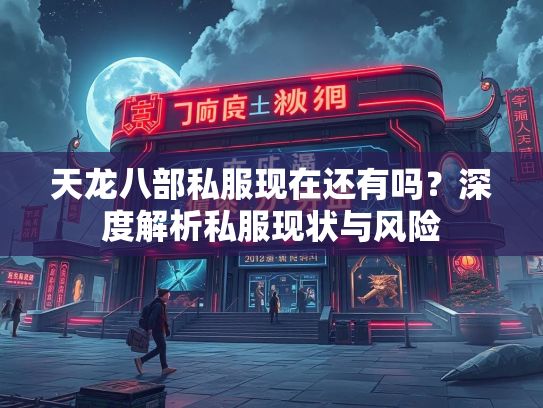 天龙八部私服现在还有吗？深度解析私服现状与风险  第2张