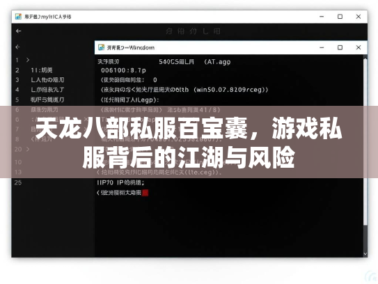 天龙八部私服百宝囊，游戏私服背后的江湖与风险