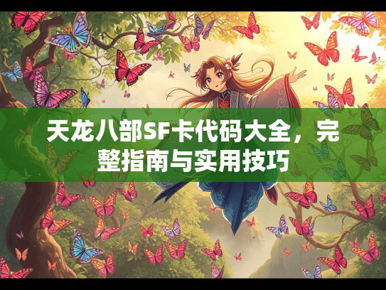 天龙八部SF卡代码大全，完整指南与实用技巧