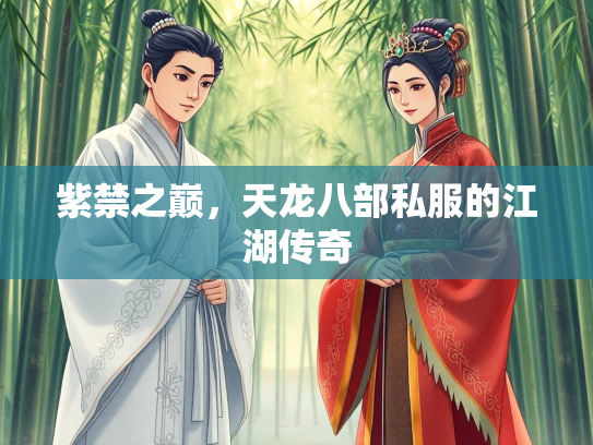 紫禁之巅，天龙八部私服的江湖传奇  第2张
