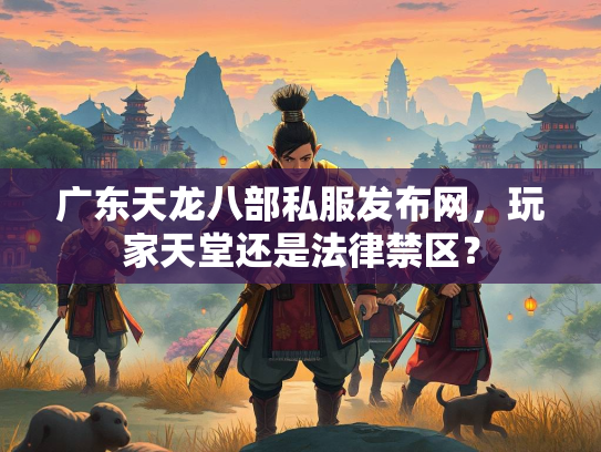 广东天龙八部私服发布网，玩家天堂还是法律禁区？