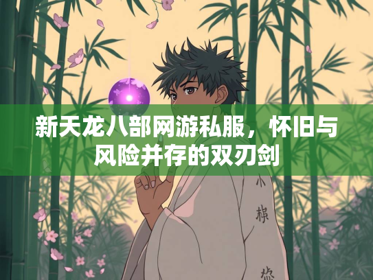 新天龙八部网游私服，怀旧与风险并存的双刃剑