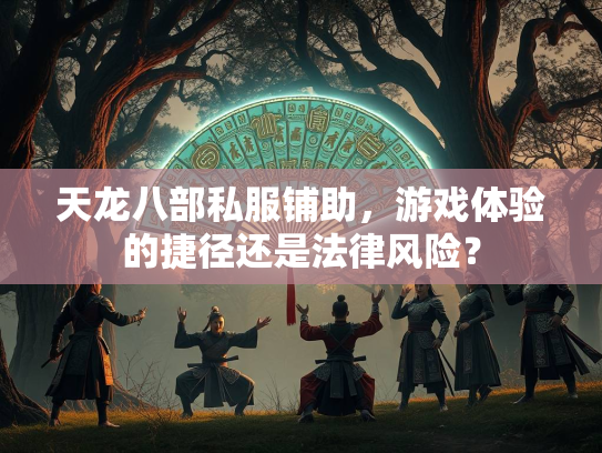 天龙八部私服铺助，游戏体验的捷径还是法律风险？