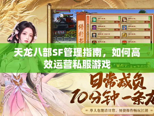 天龙八部SF管理指南，如何高效运营私服游戏