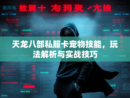 天龙八部私服卡宠物技能，玩法解析与实战技巧  第1张