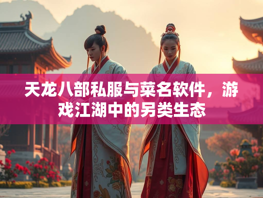 天龙八部私服与菜名软件，游戏江湖中的另类生态  第2张
