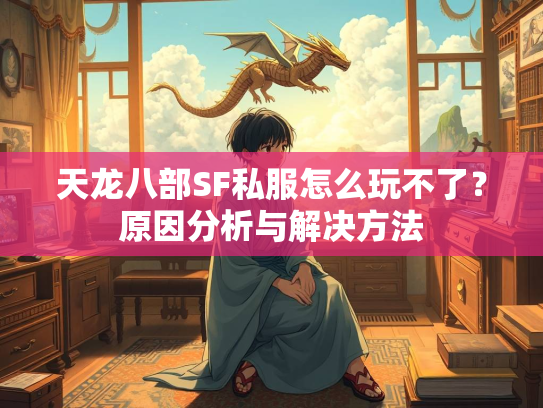天龙八部SF私服怎么玩不了？原因分析与解决方法