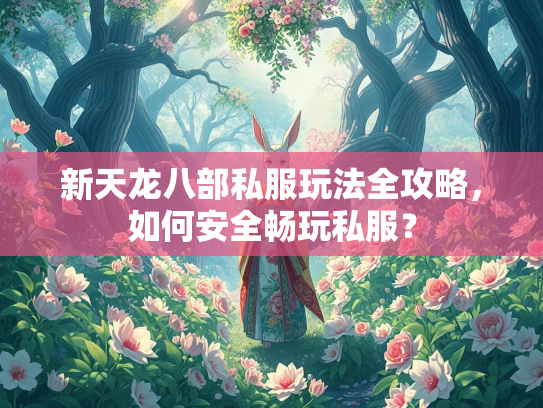 新天龙八部私服玩法全攻略，如何安全畅玩私服？
