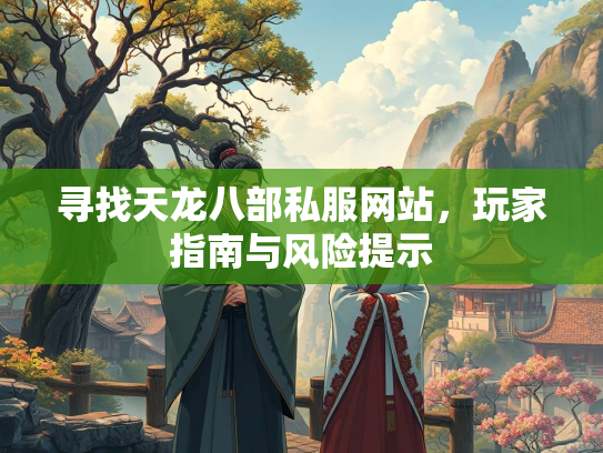 寻找天龙八部私服网站，玩家指南与风险提示
