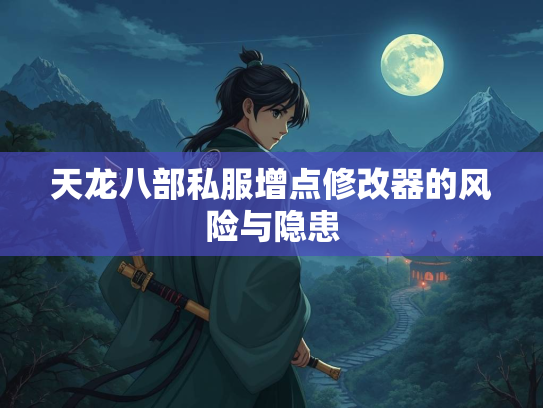 天龙八部私服增点修改器的风险与隐患  第1张