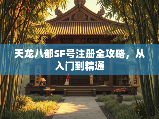 天龙八部SF号注册全攻略，从入门到精通