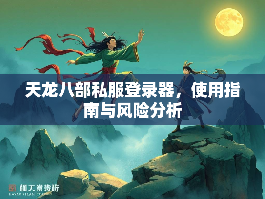 天龙八部私服登录器，使用指南与风险分析  第2张