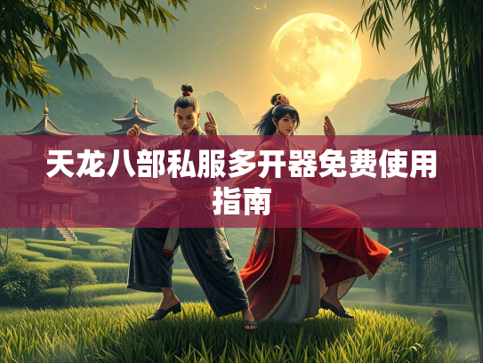 天龙八部私服多开器免费使用指南