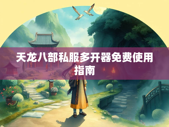 天龙八部私服多开器免费使用指南
