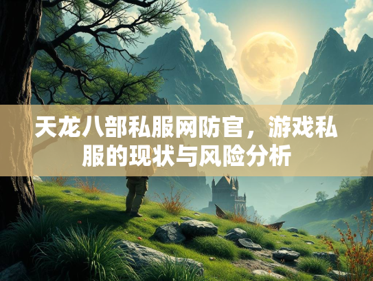 天龙八部私服网防官，游戏私服的现状与风险分析