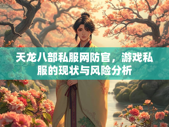 天龙八部私服网防官，游戏私服的现状与风险分析