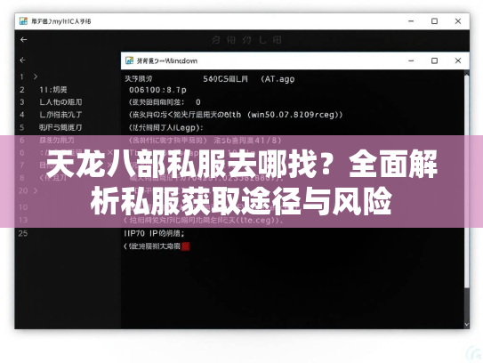 天龙八部私服去哪找？全面解析私服获取途径与风险  第2张