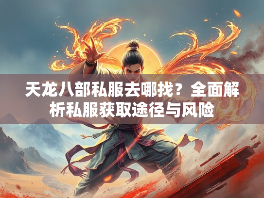 天龙八部私服去哪找？全面解析私服获取途径与风险