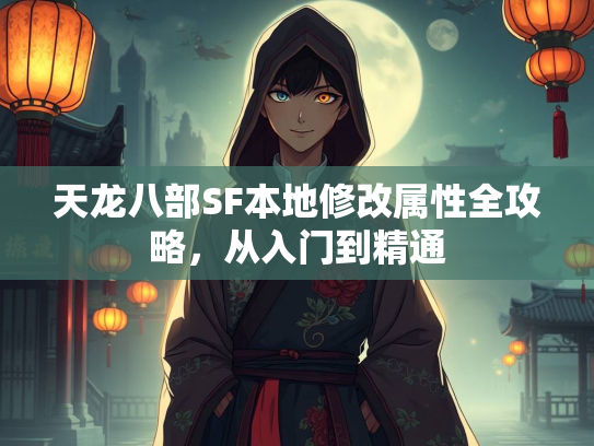 天龙八部SF本地修改属性全攻略，从入门到精通  第2张