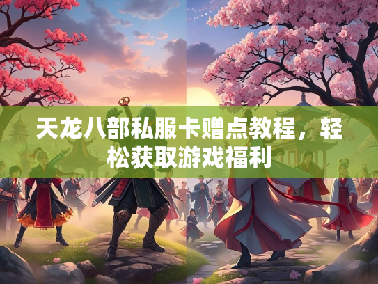 天龙八部私服卡赠点教程，轻松获取游戏福利