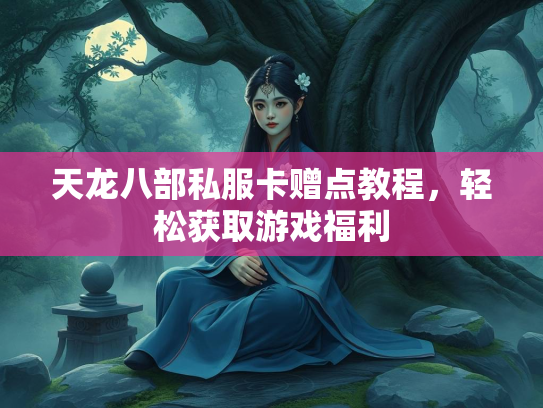 天龙八部私服卡赠点教程，轻松获取游戏福利