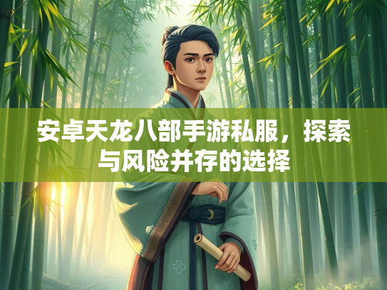 安卓天龙八部手游私服，探索与风险并存的选择