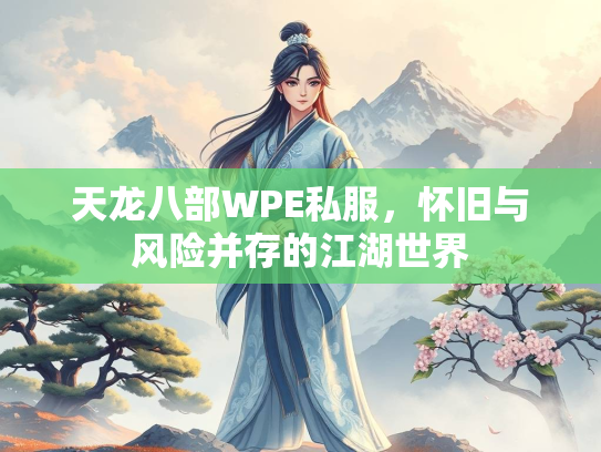 天龙八部WPE私服，怀旧与风险并存的江湖世界