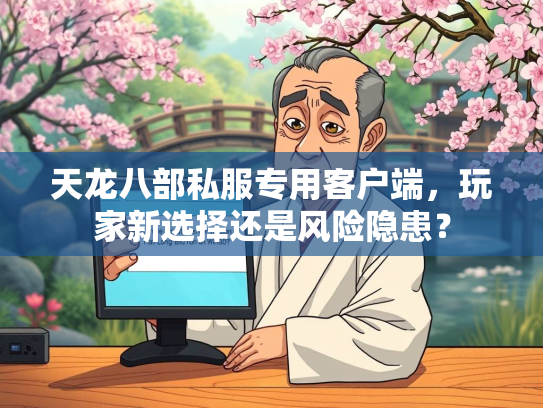 天龙八部私服专用客户端，玩家新选择还是风险隐患？
