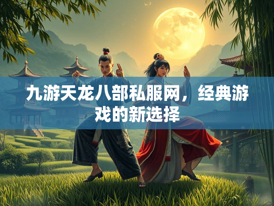 九游天龙八部私服网，经典游戏的新选择