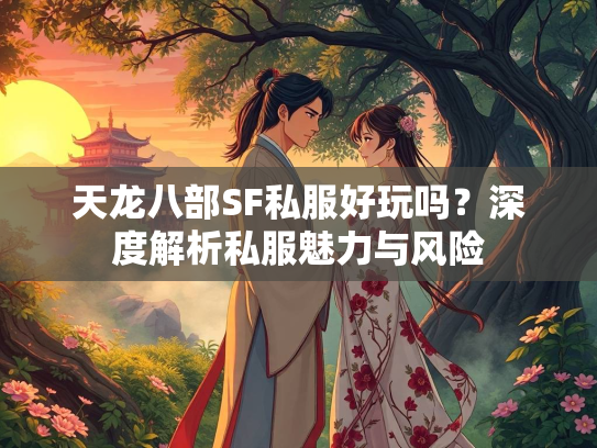 天龙八部SF私服好玩吗？深度解析私服魅力与风险
