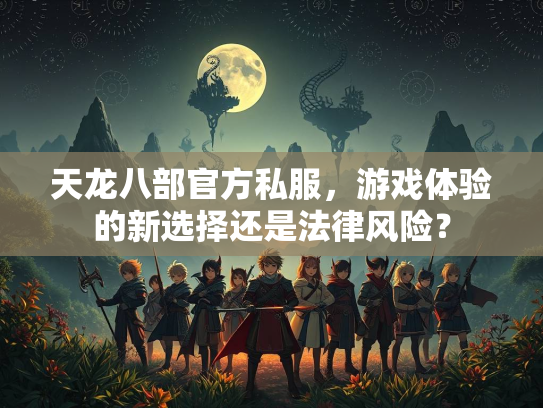 天龙八部官方私服，游戏体验的新选择还是法律风险？  第2张