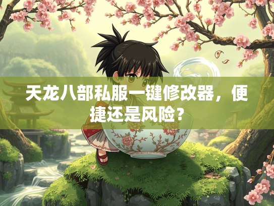 天龙八部私服一键修改器，便捷还是风险？