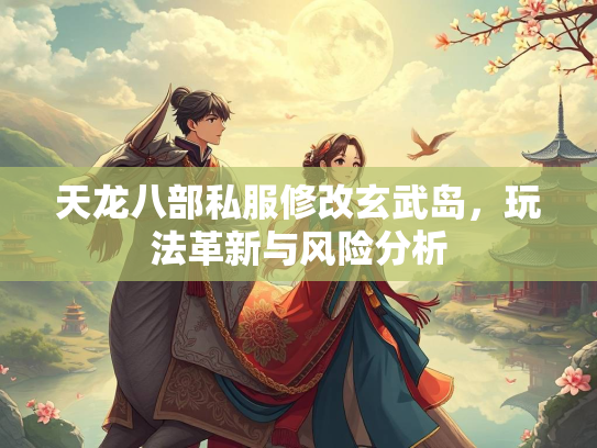 天龙八部私服修改玄武岛，玩法革新与风险分析  第2张